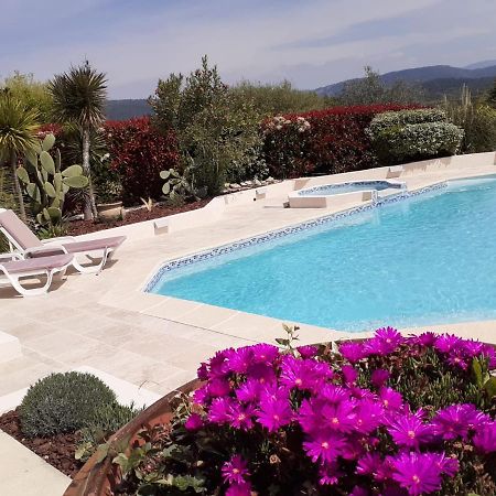 Gite Provencal Independant Avec Piscine Chauffee : Le Suy Bien Flayosc Exterior photo