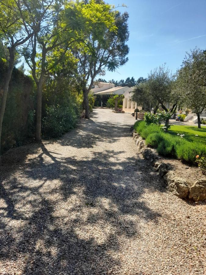 Gite Provencal Independant Avec Piscine Chauffee : Le Suy Bien Flayosc Exterior photo